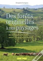 Capa do artigo Des Fôrets Originelles À Nos Paysages