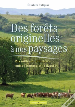 Capa do artigo Des Fôrets Originelles À Nos Paysages