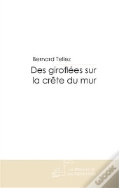 Des Giroflées Sur La Crête Du Mur
