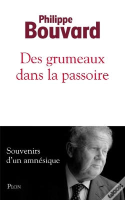 Capa do artigo Des Grumeaux Dans La Passoire