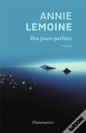 Des Jours Parfaits