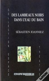 Capa do artigo Des Lambeaux Noirs Dans L