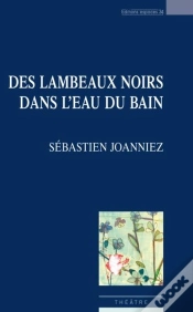 Capa do artigo Des Lambeaux Noirs Dans L