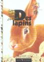 Des Lapins - Preview