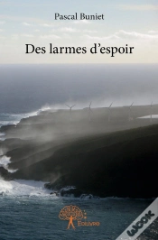 Capa do artigo Des Larmes D