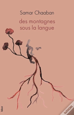 Capa do artigo Des Montagnes Sous La Langue