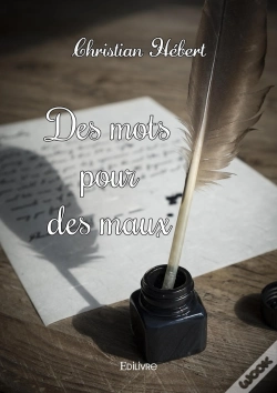 Capa do artigo Des Mots Pour Des Maux