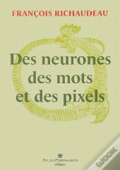 Des Neurones, Des Mots Et Des Pixels
