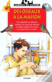 Des Oiseaux A La Maison