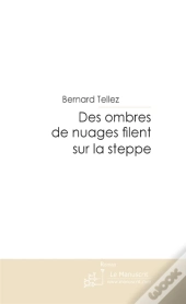 Des Ombres De Nuages Filent Sur La Steppe
