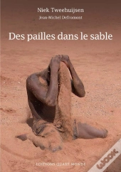 Des Pailles Dans Le Sable