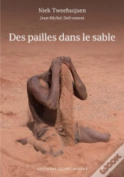 Capa do artigo Des Pailles Dans Le Sable