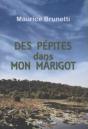 Des Pepites Dans Mon Marigot - Preview