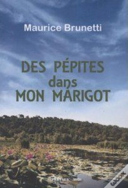 Capa do artigo Des Pepites Dans Mon Marigot