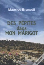 Capa do artigo Des Pepites Dans Mon Marigot
