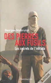 Capa do artigo Des Pierres Aux Fusils