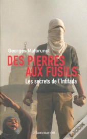 Des Pierres Aux Fusils