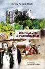 Des Pilleurs À L'Archéo-Colo - Preview