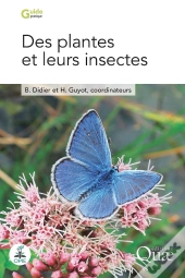 Des Plantes Et Leurs Insectes