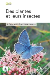 Capa do artigo Des Plantes Et Leurs Insectes