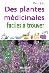 Des Plantes Medicinales Faciles A Trouver