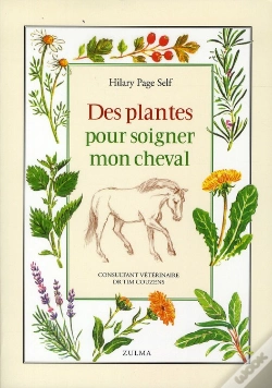 Capa do artigo Des Plantes Pour Soigner Mon Cheval