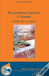 Des Premières Bacteries À L'Homme ; L'Histoire De Nos Origines