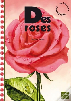 Capa do artigo Des Roses
