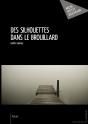 Des Silhouettes Dans Le Brouillard - Preview