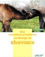 Des Situations-Problemes En Elevage De Chevaux - Preview