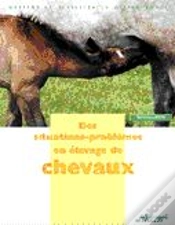 Capa do artigo Des Situations-Problemes En Elevage De Chevaux