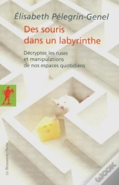 Des Souris Dans Un Labyrinthe