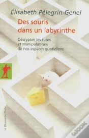 Capa do artigo Des Souris Dans Un Labyrinthe