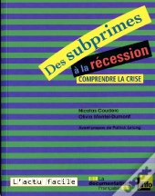 Des Subprimes À La Récession ; Comprendre La Crise