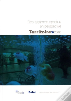 Capa do artigo Des Systemes Spatiaux En Perspective (N.3)