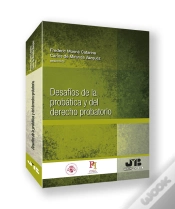 Capa do artigo Desafios De La Probatica Y Del Derecho Probatorio