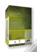 Desafios De La Probatica Y Del Derecho Probatorio
