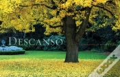 Capa do artigo Descanso
