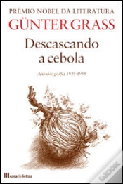 Capa do artigo Descascando a Cebola