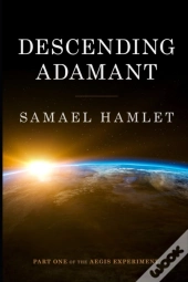 Descending Adamant: The Aegis Experiment