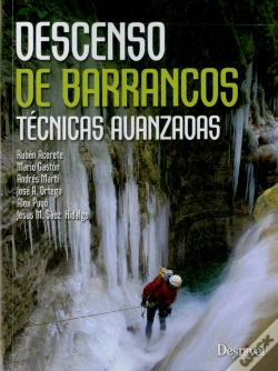 Capa do artigo Descenso De Barrancos