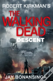 Capa do artigo Descent