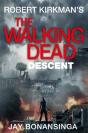 Descent - Preview