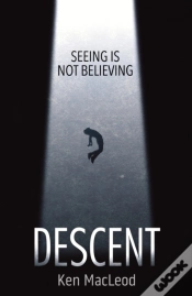 Capa do artigo Descent