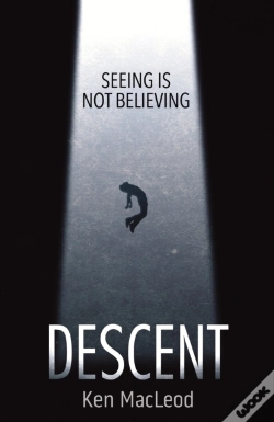 Capa do artigo Descent