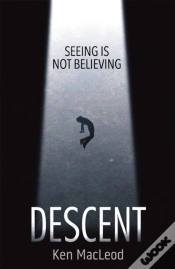 Capa do artigo Descent