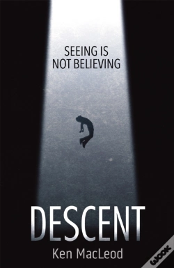Capa do artigo Descent