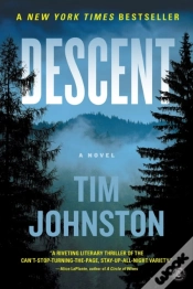 Capa do artigo Descent