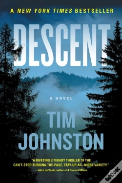 Capa do artigo Descent