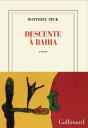 Descente À Bahia - Preview